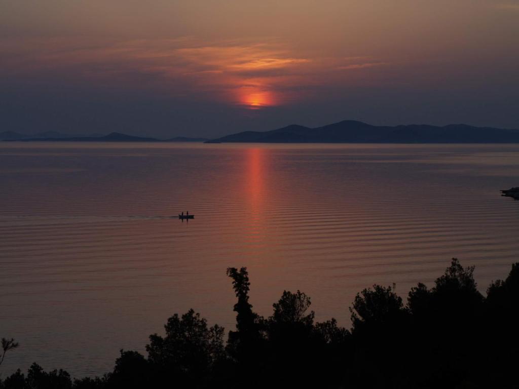 Vila Marija-Roza Daire Drage Dış mekan fotoğraf